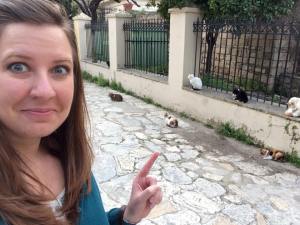 11043282_778174102512_8312016003426967824_n