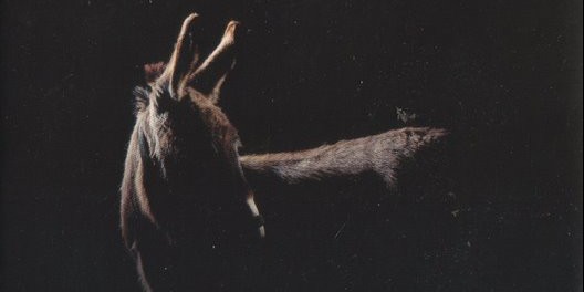 Ransom by David Malouf – It Is Trish