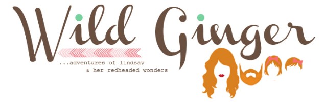 Lindsay's Blog Logo