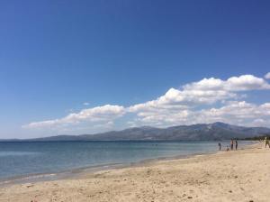 13669237_869906804442_8048629682141242848_n