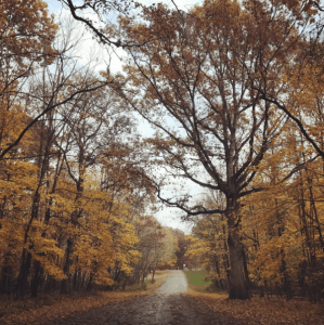 screen-shot-2016-11-07-at-3-30-11-pm